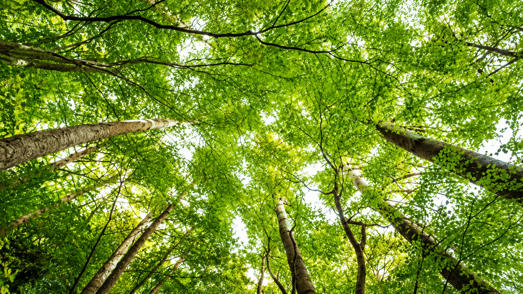 Delhi High Court upholds natural justice